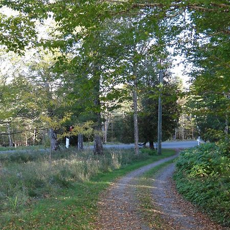 Chamcook Forest Lodge Bed & Breakfast St. Andrews By The Sea Esterno foto
